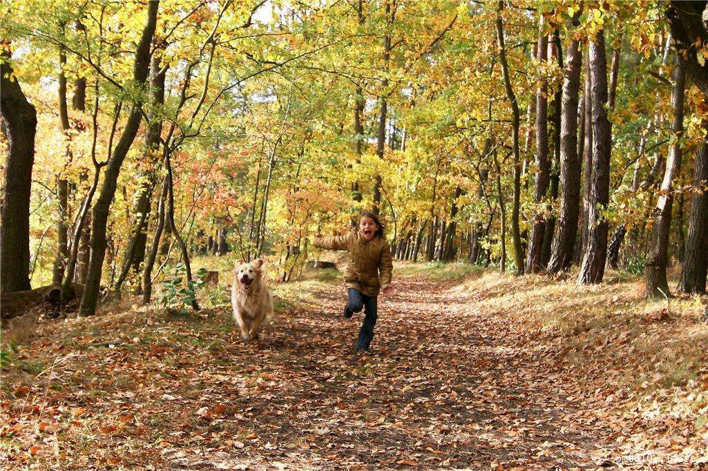為什么秋季裝修異味這么重？甲醛超標怎么辦