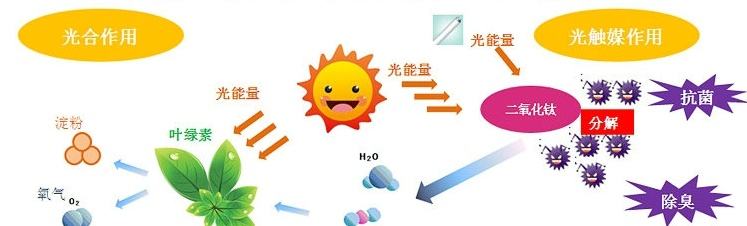 甲醛治理用什么辦法最正確？這三點常見的除甲醛辦法其實是誤區