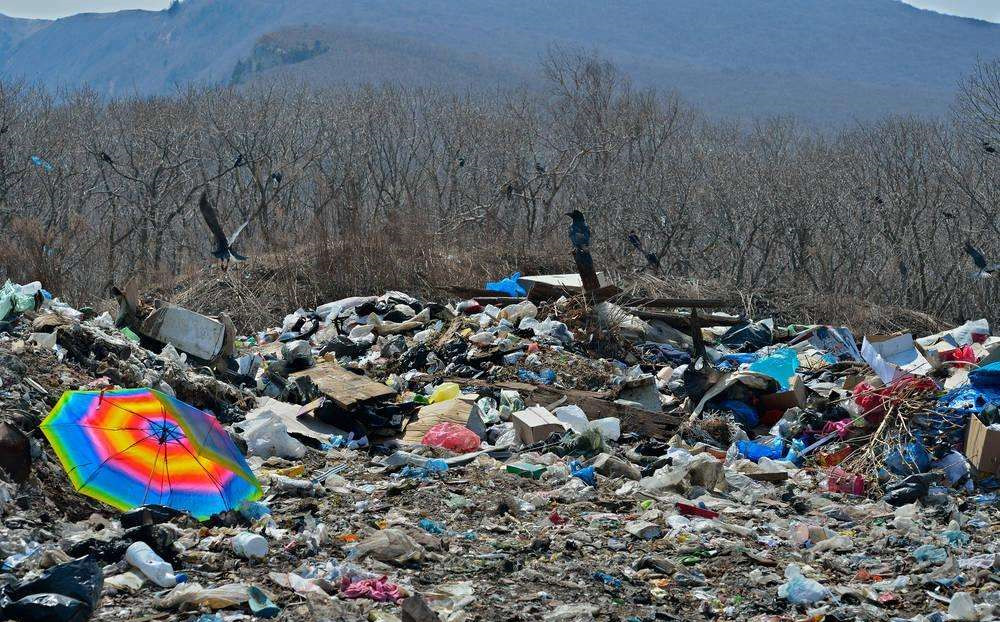 “視覺污染”和“潛在危害”是什么? “視覺污染”和“潛在危害”是什么?