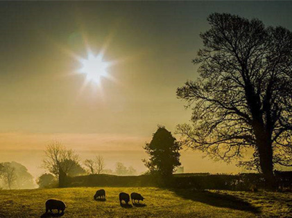 僅靠通風換氣去除甲醛？這樣入住很危險哦！