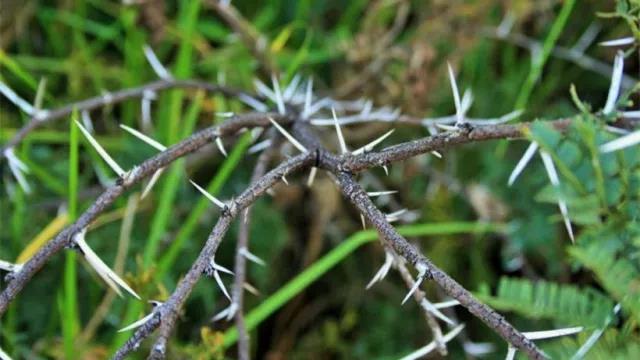 家中旺位和衰位在哪里？三分鐘學習室內風水學