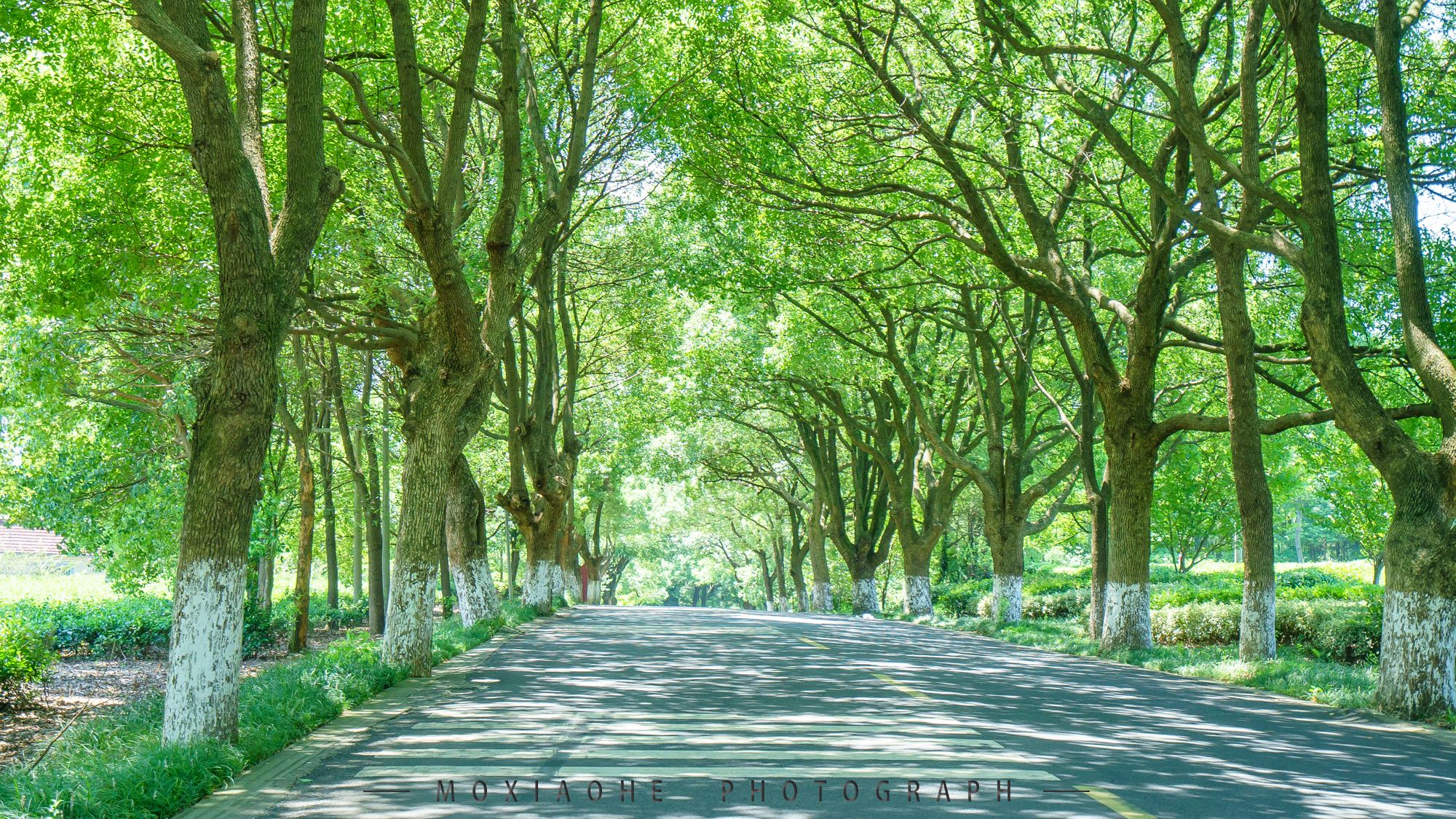 #助力高考# 保存好你的高考準考證，創綠家送您安“醛”一夏！