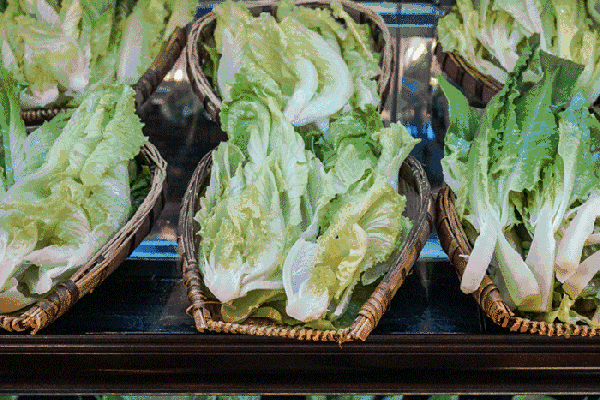 夏至高溫預警！消暑養生秘笈了解一下？