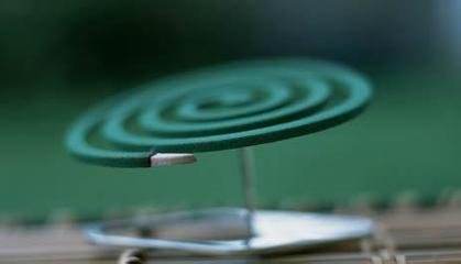 成分中有甲醛蚊香立馬變毒香，甚至還會致癌……