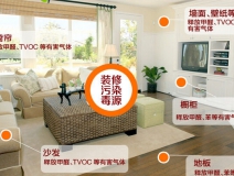 記憶力衰退?那可能是室內裝修污染搞的鬼!