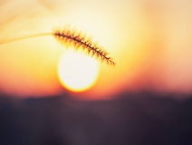 杭州夏季來臨,是除甲醛好時機