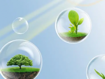 這些甲醛的危害你知道嗎？