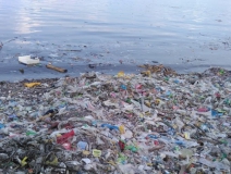 現(xiàn)代人生活節(jié)奏過快,卻導致環(huán)境空氣污染越來越嚴重