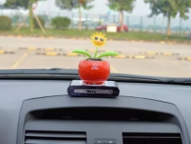 新車除醛,車內(nèi)除甲醛什么辦法最好?