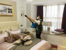 除甲醛公司哪家好,創綠家更專業