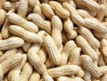 水煮花生含甲醛？實測多家燒烤店結果太可怕！