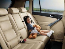 新車除味什么最有效?