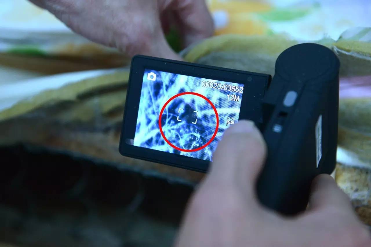 南京美女睡了10年的床墊，掀開(kāi)后把全家人都嚇傻了……