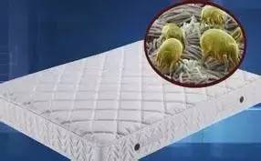 南京美女睡了10年的床墊，掀開(kāi)后把全家人都嚇傻了……