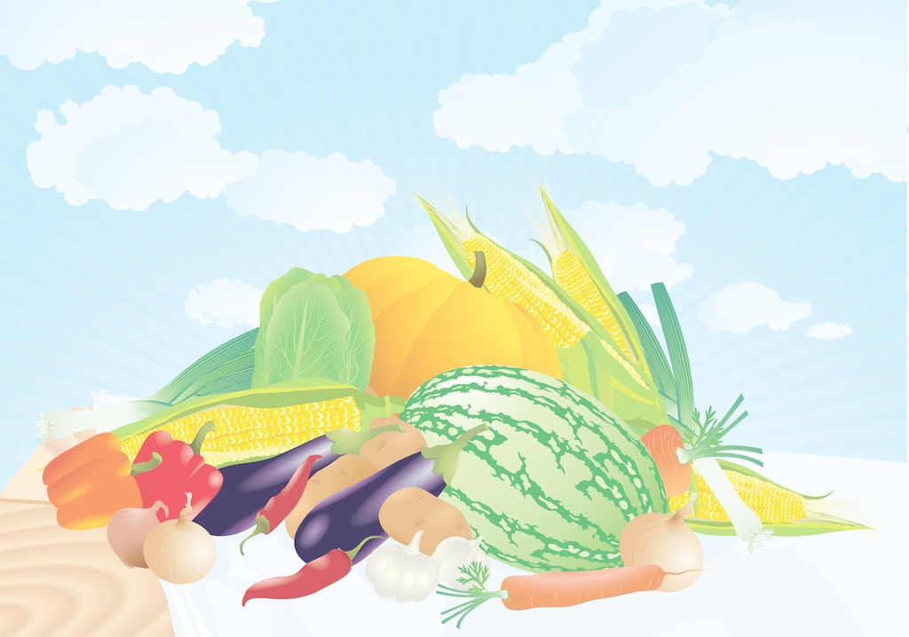 夏季找除甲醛公司有哪些需要注意的? 夏季找除甲醛公司有哪些需要注意的?